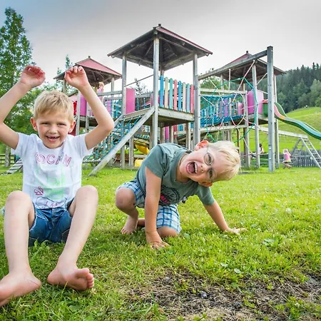 Alpenchalets Flachauer Gutshof *