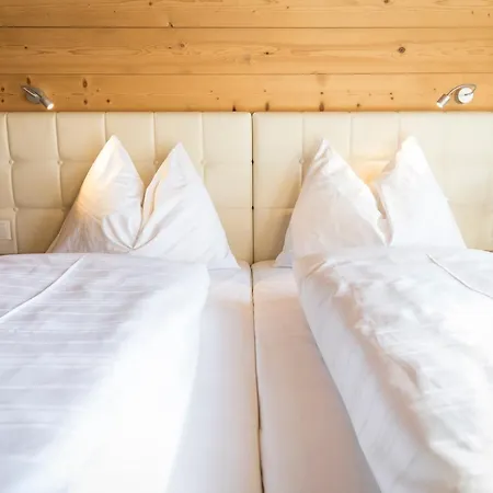 公寓 Alpenchalets Flachauer Gutshof 弗拉绍